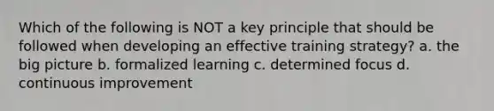 Which of the following is NOT a key principle that should be followed when developing an effective training strategy? a. the big picture b. formalized learning c. determined focus d. continuous improvement