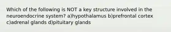 Which of the following is NOT a key structure involved in the neuroendocrine system? a)hypothalamus b)prefrontal cortex c)adrenal glands d)pituitary glands