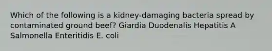 Which of the following is a kidney-damaging bacteria spread by contaminated ground beef? Giardia Duodenalis Hepatitis A Salmonella Enteritidis E. coli