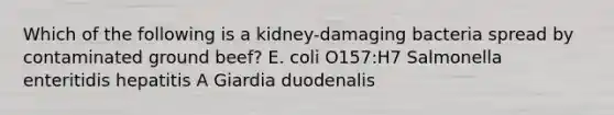 Which of the following is a kidney-damaging bacteria spread by contaminated ground beef? E. coli O157:H7 Salmonella enteritidis hepatitis A Giardia duodenalis