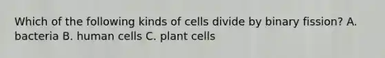 Which of the following kinds of cells divide by binary fission? A. bacteria B. human cells C. plant cells