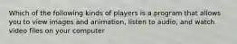 Which of the following kinds of players is a program that allows you to view images and animation, listen to audio, and watch video files on your computer