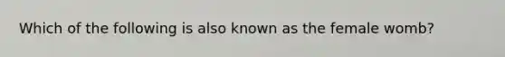 Which of the following is also known as the female womb?