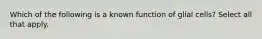 Which of the following is a known function of glial cells? Select all that apply.