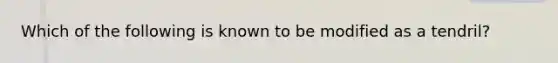 Which of the following is known to be modified as a tendril?