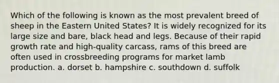 Which of the following is known as the most prevalent breed of sheep in the Eastern United States? It is widely recognized for its large size and bare, black head and legs. Because of their rapid growth rate and high-quality carcass, rams of this breed are often used in crossbreeding programs for market lamb production. a. dorset b. hampshire c. southdown d. suffolk