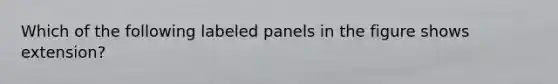 Which of the following labeled panels in the figure shows extension?