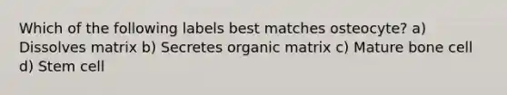 Which of the following labels best matches osteocyte? a) Dissolves matrix b) Secretes organic matrix c) Mature bone cell d) Stem cell