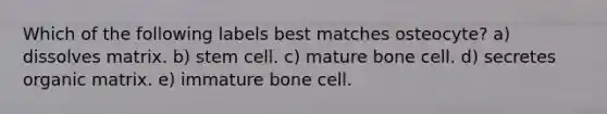 Which of the following labels best matches osteocyte? a) dissolves matrix. b) stem cell. c) mature bone cell. d) secretes organic matrix. e) immature bone cell.