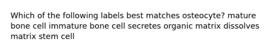 Which of the following labels best matches osteocyte? mature bone cell immature bone cell secretes organic matrix dissolves matrix stem cell