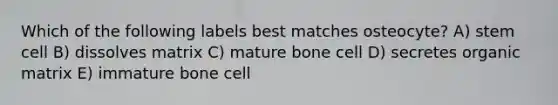 Which of the following labels best matches osteocyte? A) stem cell B) dissolves matrix C) mature bone cell D) secretes organic matrix E) immature bone cell