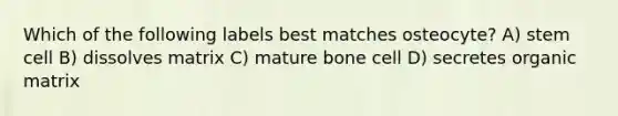 Which of the following labels best matches osteocyte? A) stem cell B) dissolves matrix C) mature bone cell D) secretes organic matrix