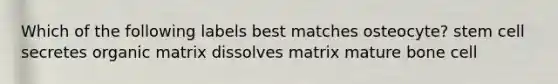 Which of the following labels best matches osteocyte? stem cell secretes organic matrix dissolves matrix mature bone cell