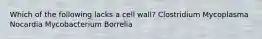 Which of the following lacks a cell wall? Clostridium Mycoplasma Nocardia Mycobacterium Borrelia