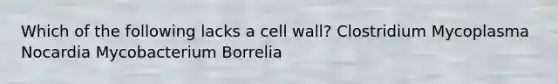 Which of the following lacks a cell wall? Clostridium Mycoplasma Nocardia Mycobacterium Borrelia