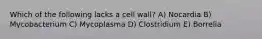 Which of the following lacks a cell wall? A) Nocardia B) Mycobacterium C) Mycoplasma D) Clostridium E) Borrelia