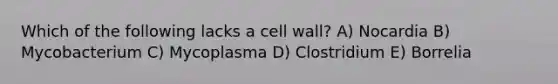 Which of the following lacks a cell wall? A) Nocardia B) Mycobacterium C) Mycoplasma D) Clostridium E) Borrelia