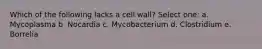 Which of the following lacks a cell wall? Select one: a. Mycoplasma b. Nocardia c. Mycobacterium d. Clostridium e. Borrelia