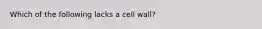 Which of the following lacks a cell wall?