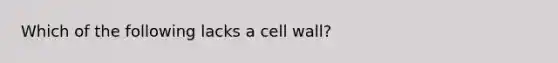 Which of the following lacks a cell wall?