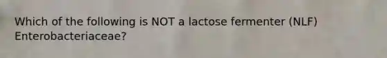 Which of the following is NOT a lactose fermenter (NLF) Enterobacteriaceae?