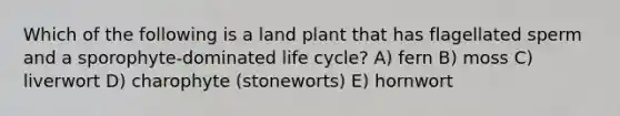 Which of the following is a land plant that has flagellated sperm and a sporophyte-dominated life cycle? A) fern B) moss C) liverwort D) charophyte (stoneworts) E) hornwort