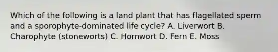 Which of the following is a land plant that has flagellated sperm and a sporophyte-dominated life cycle? A. Liverwort B. Charophyte (stoneworts) C. Hornwort D. Fern E. Moss