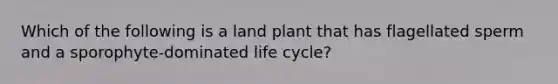 Which of the following is a land plant that has flagellated sperm and a sporophyte-dominated life cycle?