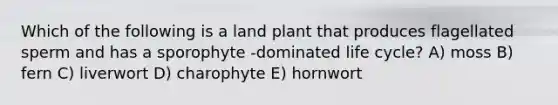 Which of the following is a land plant that produces flagellated sperm and has a sporophyte -dominated life cycle? A) moss B) fern C) liverwort D) charophyte E) hornwort