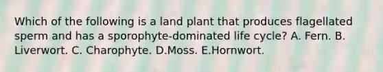 Which of the following is a land plant that produces flagellated sperm and has a sporophyte-dominated life cycle? A. Fern. B. Liverwort. C. Charophyte. D.Moss. E.Hornwort.