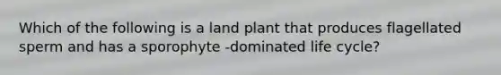 Which of the following is a land plant that produces flagellated sperm and has a sporophyte -dominated life cycle?