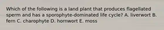 Which of the following is a land plant that produces flagellated sperm and has a sporophyte-dominated life cycle? A. liverwort B. fern C. charophyte D. hornwort E. moss