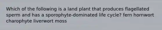 Which of the following is a land plant that produces flagellated sperm and has a sporophyte-dominated life cycle? fern hornwort charophyte liverwort moss