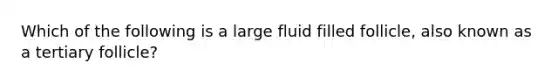 Which of the following is a large fluid filled follicle, also known as a tertiary follicle?