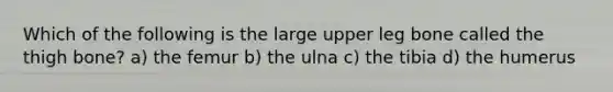 Which of the following is the large upper leg bone called the thigh bone? a) the femur b) the ulna c) the tibia d) the humerus