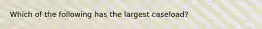 Which of the following has the largest caseload?