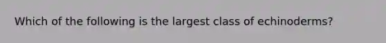 Which of the following is the largest class of echinoderms?