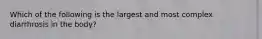 Which of the following is the largest and most complex diarrhrosis in the body?