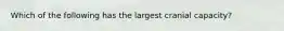 Which of the following has the largest cranial capacity?
