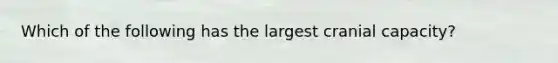 Which of the following has the largest cranial capacity?