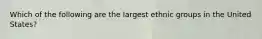 Which of the following are the largest ethnic groups in the United States?
