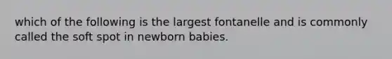 which of the following is the largest fontanelle and is commonly called the soft spot in newborn babies.