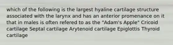 which of the following is the largest hyaline cartilage structure associated with the larynx and has an anterior promenance on it that in males is often refered to as the "Adam's Apple" Cricoid cartilage Septal cartilage Arytenoid cartilage Epiglottis Thyroid cartilage