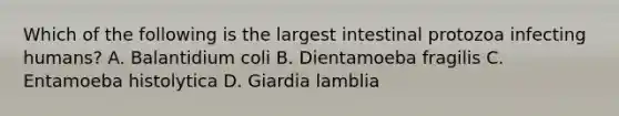 Which of the following is the largest intestinal protozoa infecting humans? A. Balantidium coli B. Dientamoeba fragilis C. Entamoeba histolytica D. Giardia lamblia