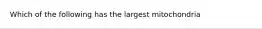 Which of the following has the largest mitochondria