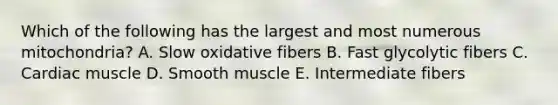 Which of the following has the largest and most numerous mitochondria? A. Slow oxidative fibers B. Fast glycolytic fibers C. Cardiac muscle D. Smooth muscle E. Intermediate fibers