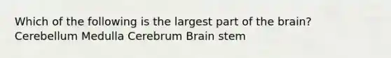 Which of the following is the largest part of the brain? Cerebellum Medulla Cerebrum Brain stem