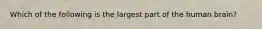 Which of the following is the largest part of the human brain?