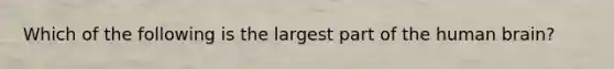 Which of the following is the largest part of the human brain?