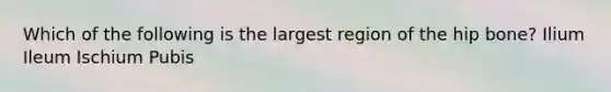 Which of the following is the largest region of the hip bone? Ilium Ileum Ischium Pubis